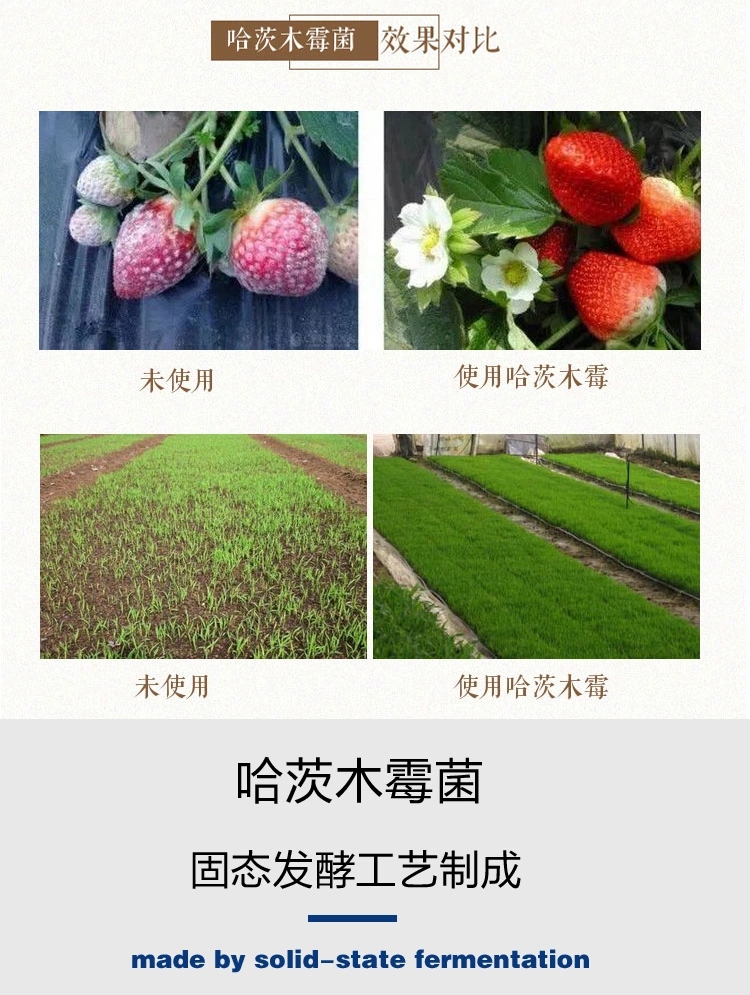 复合微生物菌剂 禾绿源哈茨木霉菌10亿改良土壤微生物菌肥防治死苗烂根枯萎病菌