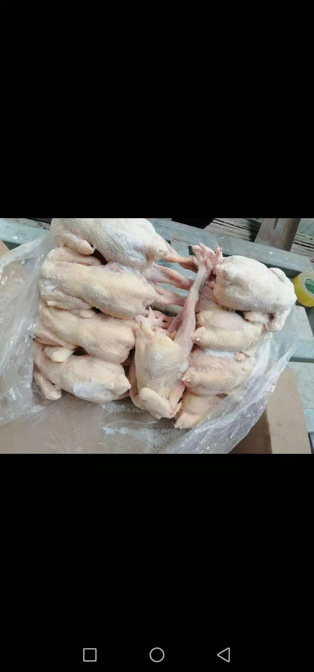 鸡肉类  老母鸡，西装鸡，鸡副产品