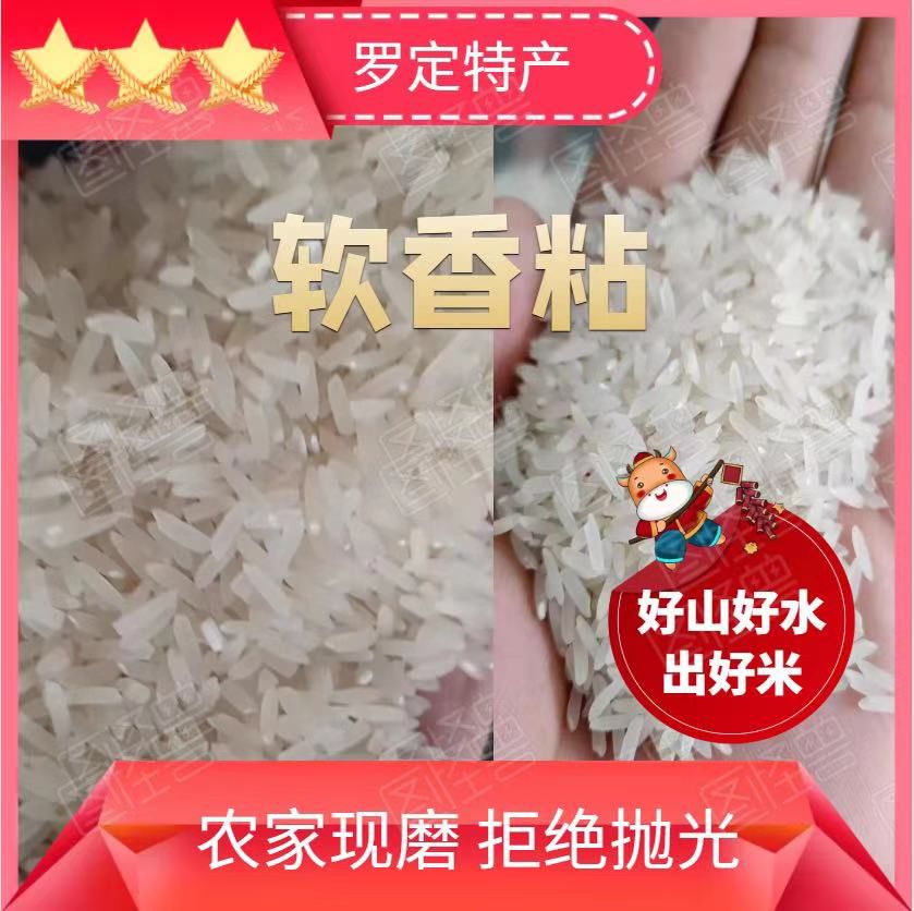 籼米  软粘