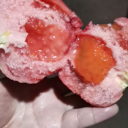 上海粉果番茄  西红柿