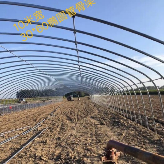 天津大棚骨架  蔬菜棚 瓜果棚 花卉棚  温室大棚 养殖棚