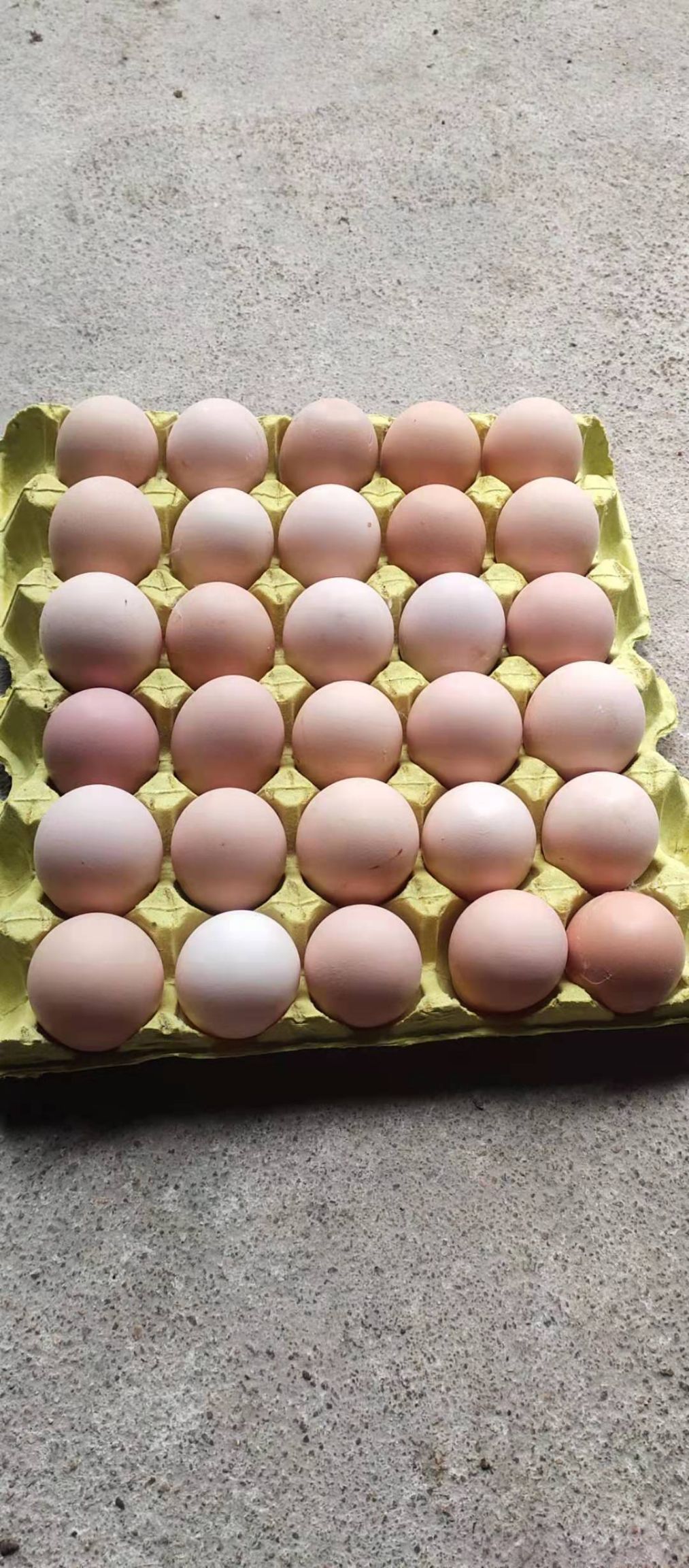 固始县普通鸡蛋 食用 箱装