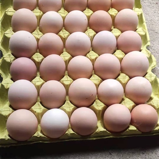 固始县普通鸡蛋 食用 箱装
