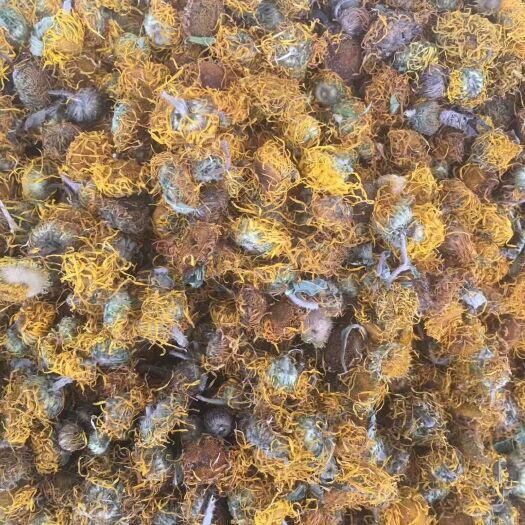 长期供应｛旋覆花｝可批量可零售量大从优【包邮】