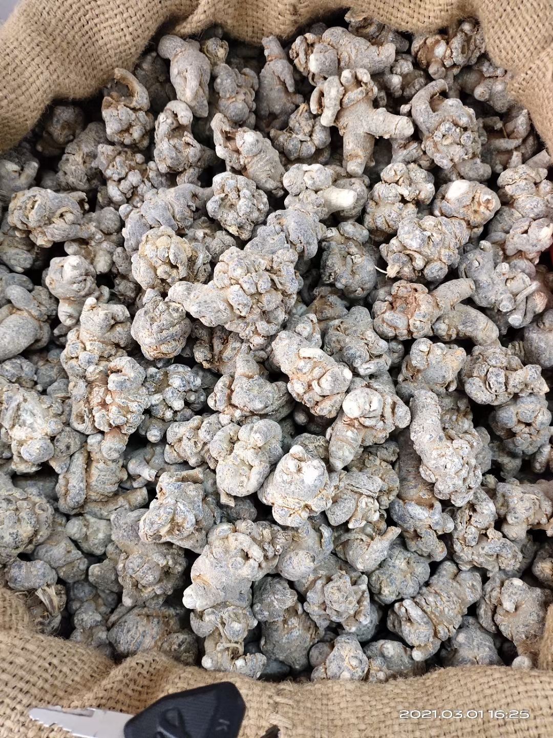 文三七  三七 云南文山三七头 滑田七 30头40头60头7