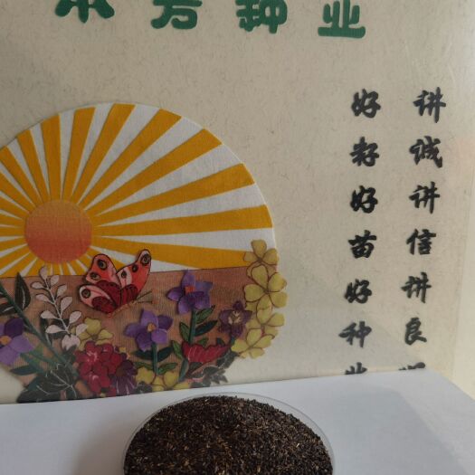 安国市桔梗种子  桔梗种籽，纯新优质货保质保量批发零售