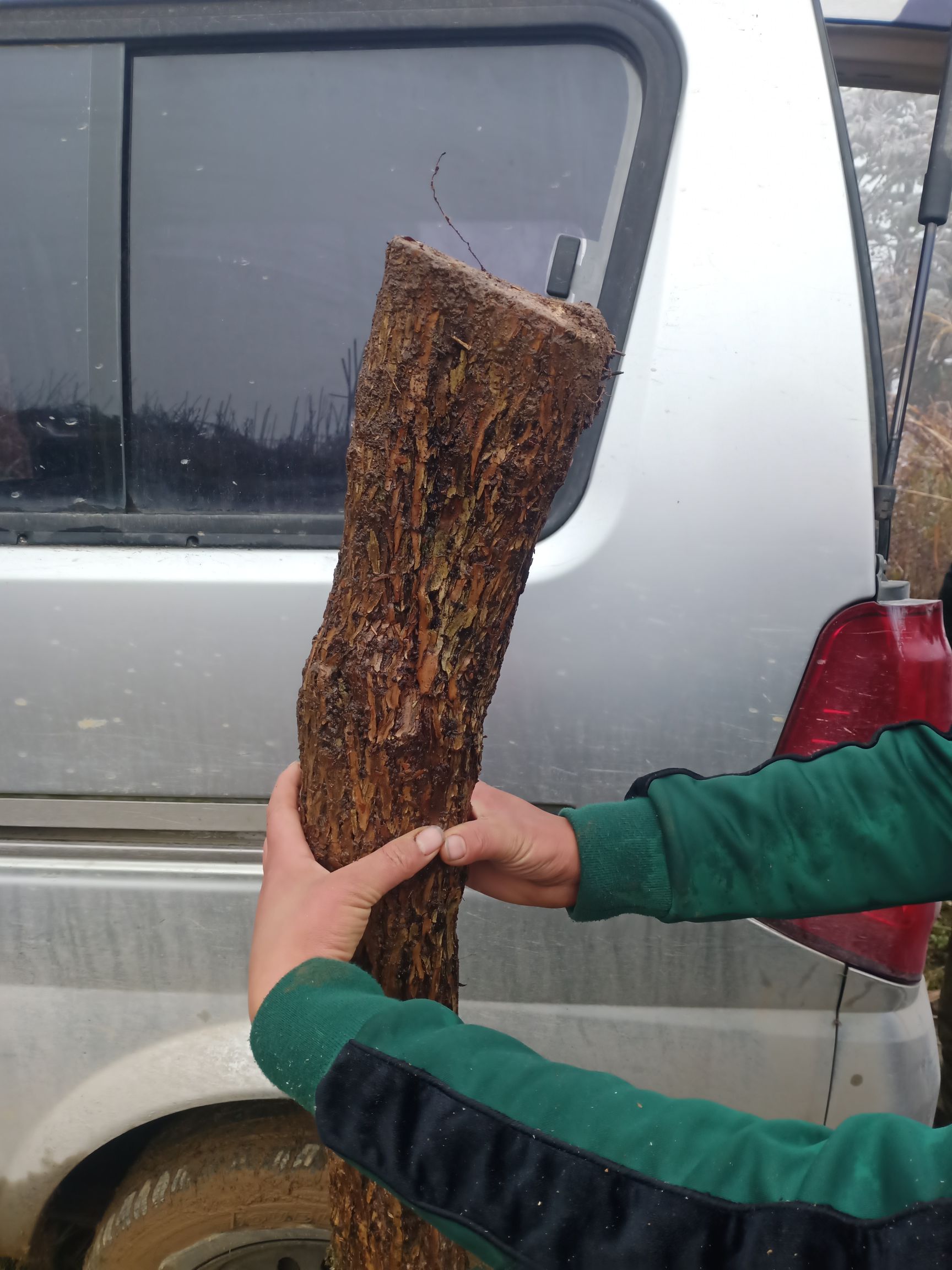 锦带花  五彩锦带 庄，寓意前程似锦 ，花色五颜六色 。