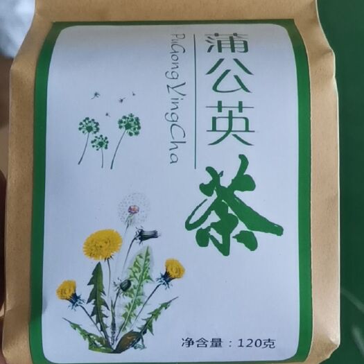 亳州 蒲公英茶婆婆丁茶长白山家种蒲公英叶茶新鲜纯浦公英茶特级胎菊