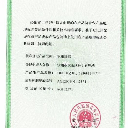 钦州 钦州辣椒，十多万亩，品种应有尽有，随行就价，大量上市！