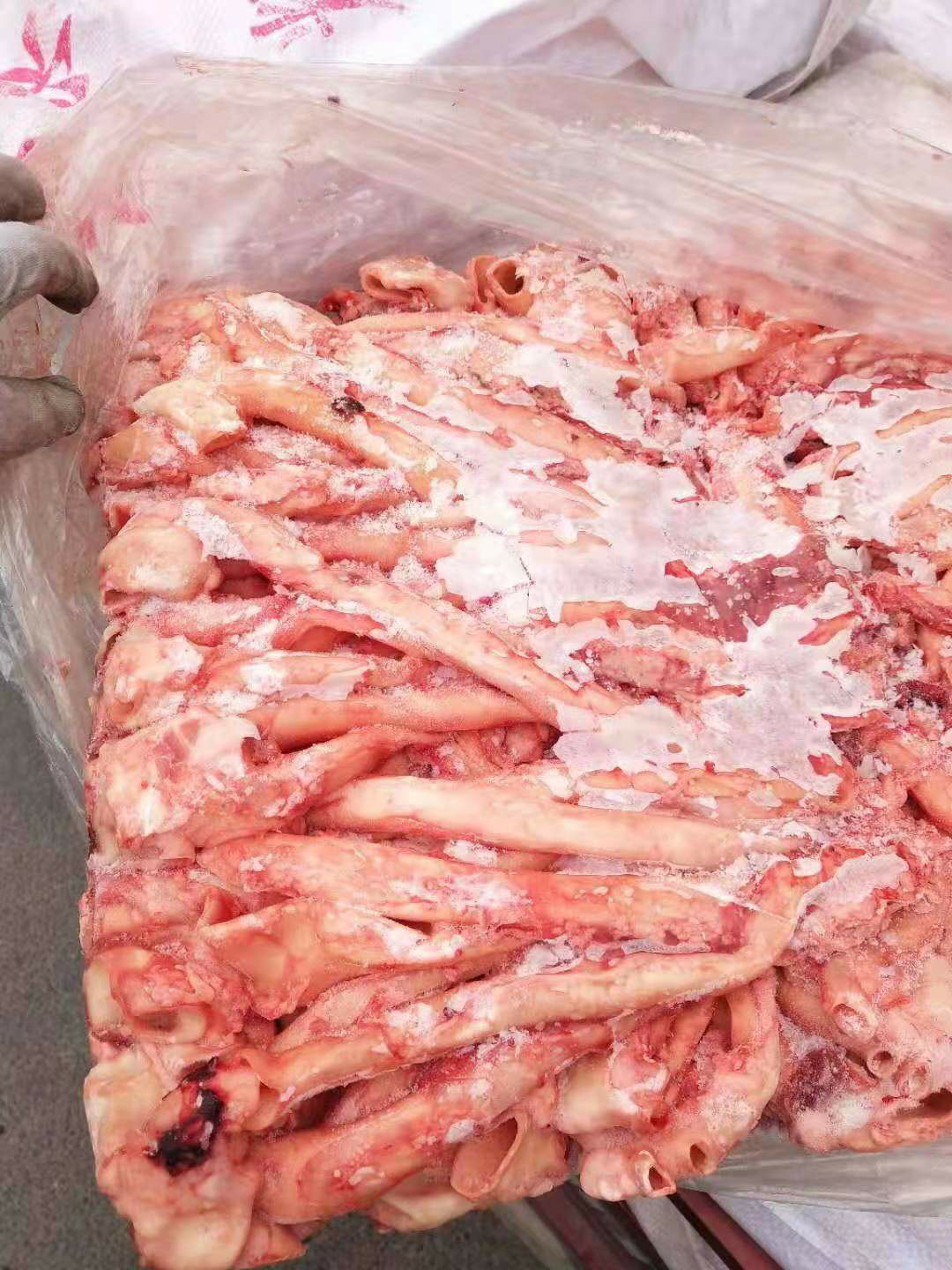 猪黄喉  猪心管1.3