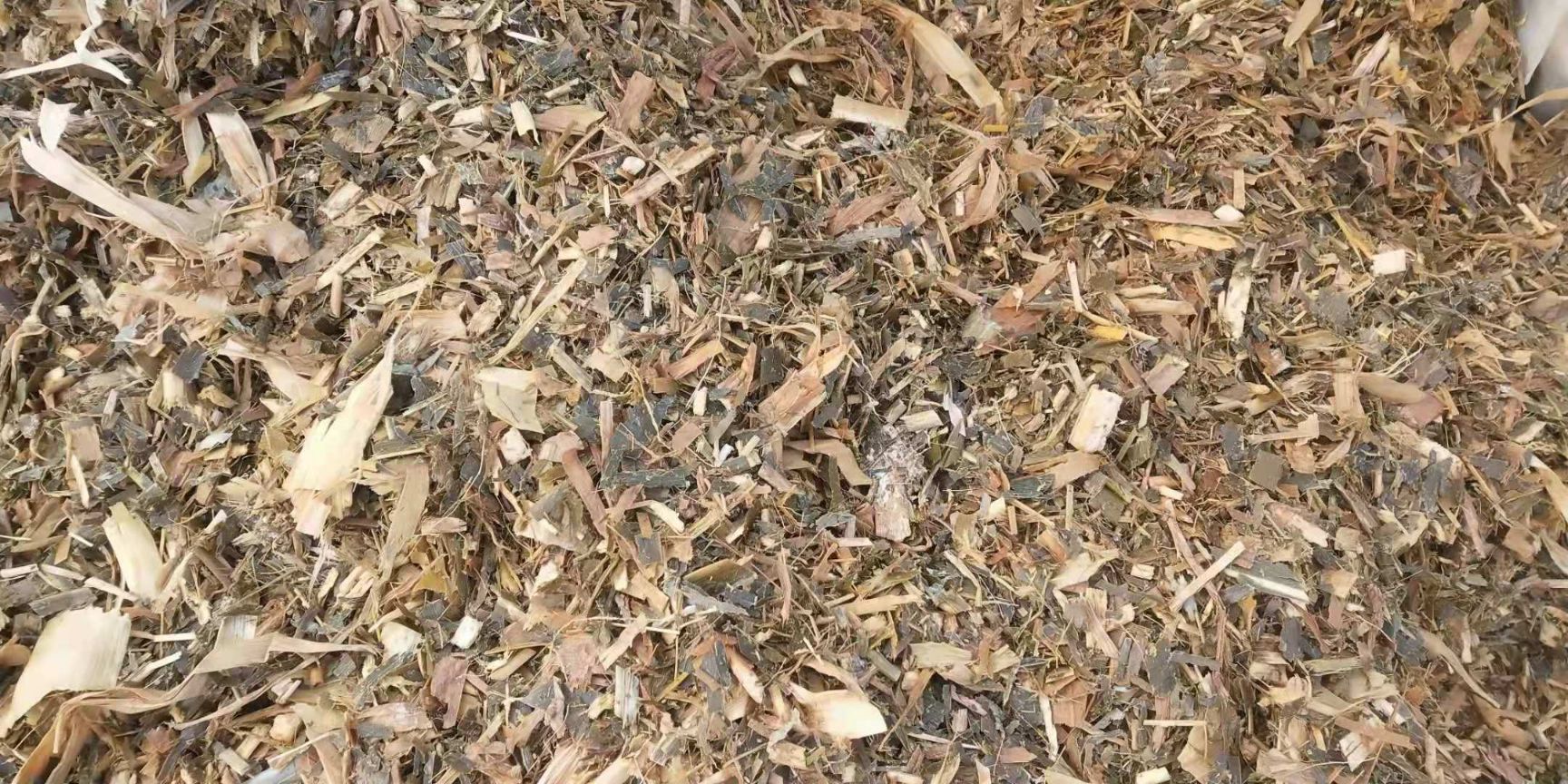 散装玉米秸秆质量有保证！量大从优！