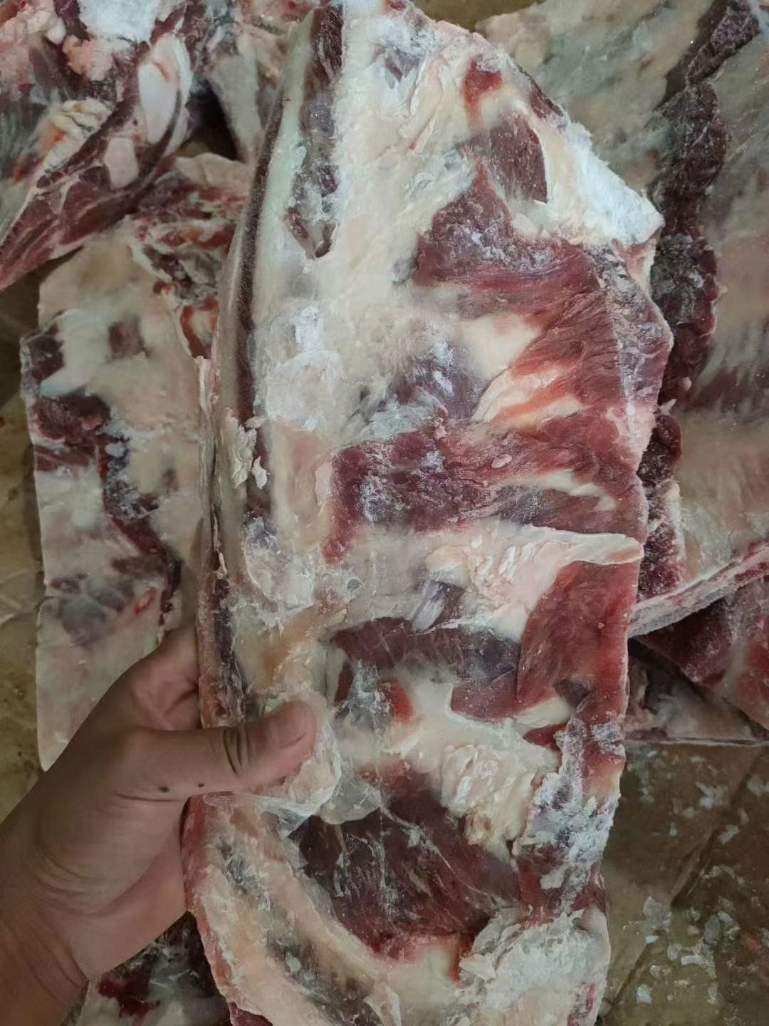 牛骨  牛胸骨，质量好带点排，自助火锅看过来