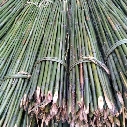 邻水县菜架竹竿（欢迎来电），扶树竹竿，大棚竹竿，多种规格，产地直销