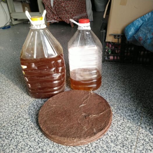 邵东市山茶油  正宗茶油