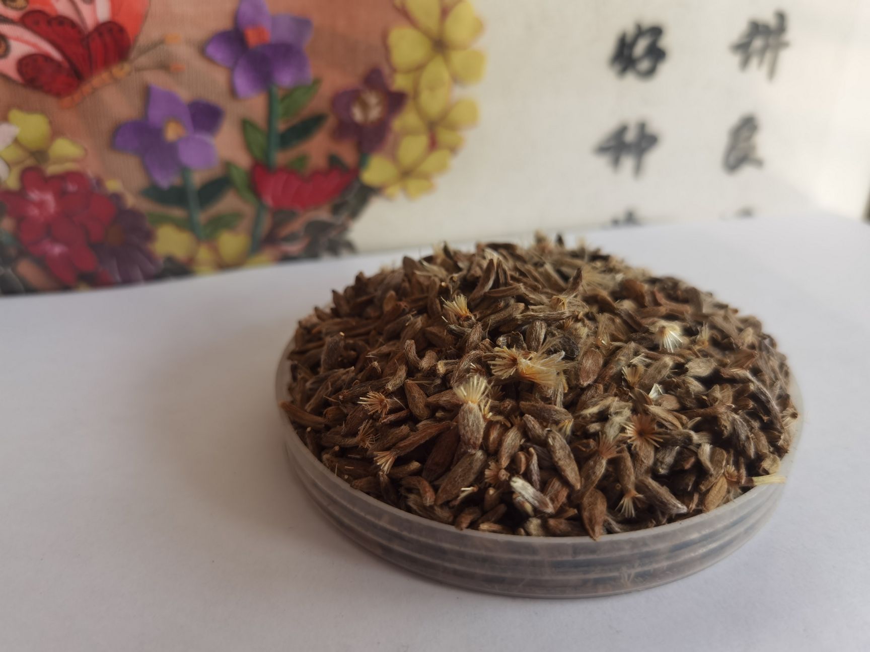 白术种子  白术籽秧苗