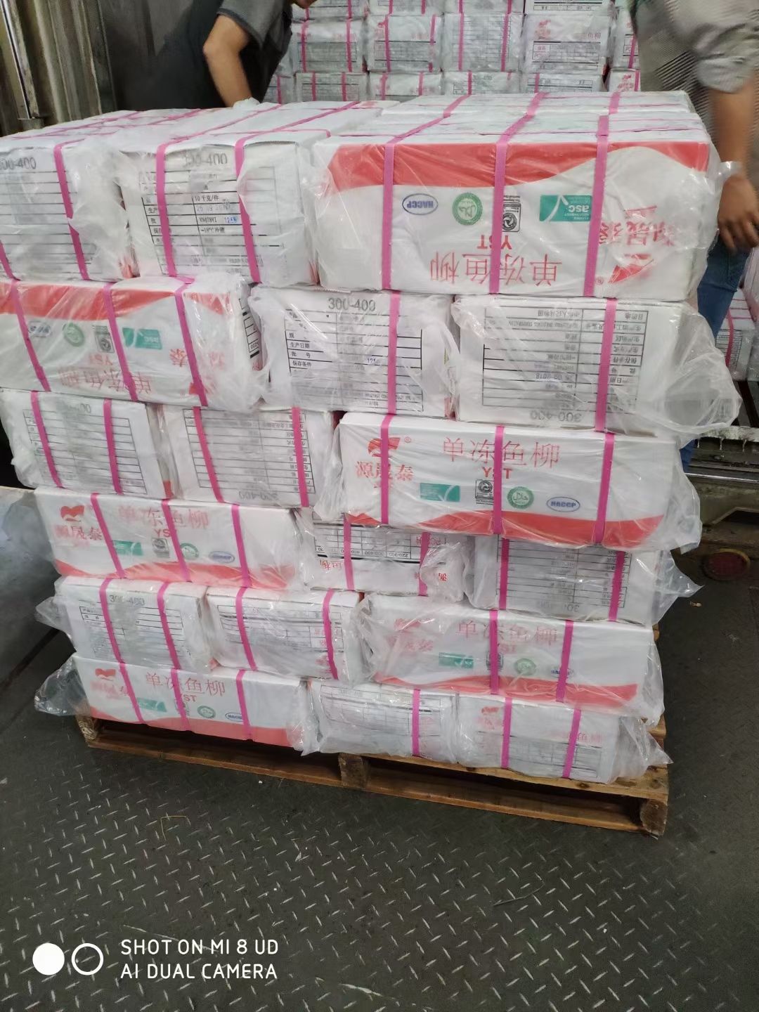 冷冻巴沙鱼 去皮巴沙鱼柳 带皮巴沙鱼柳 酸菜鱼 专业批发