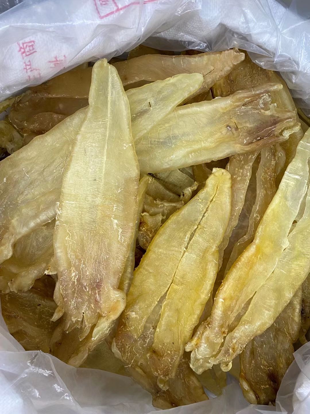花胶 足干A货巴西北海母 原装货2头