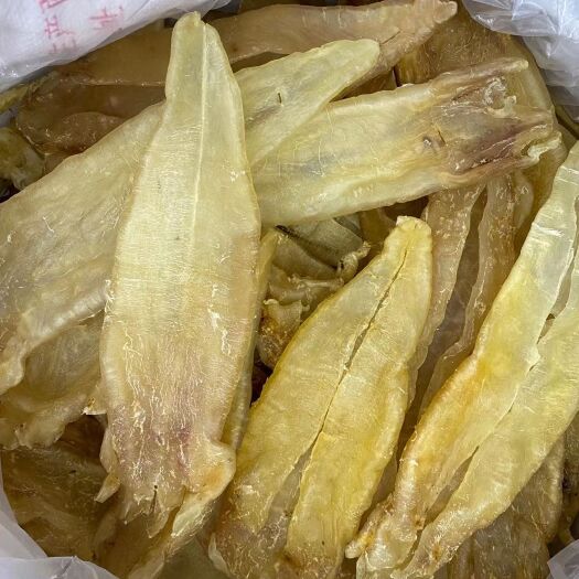 广州花胶 足干A货巴西北海母 原装货2头