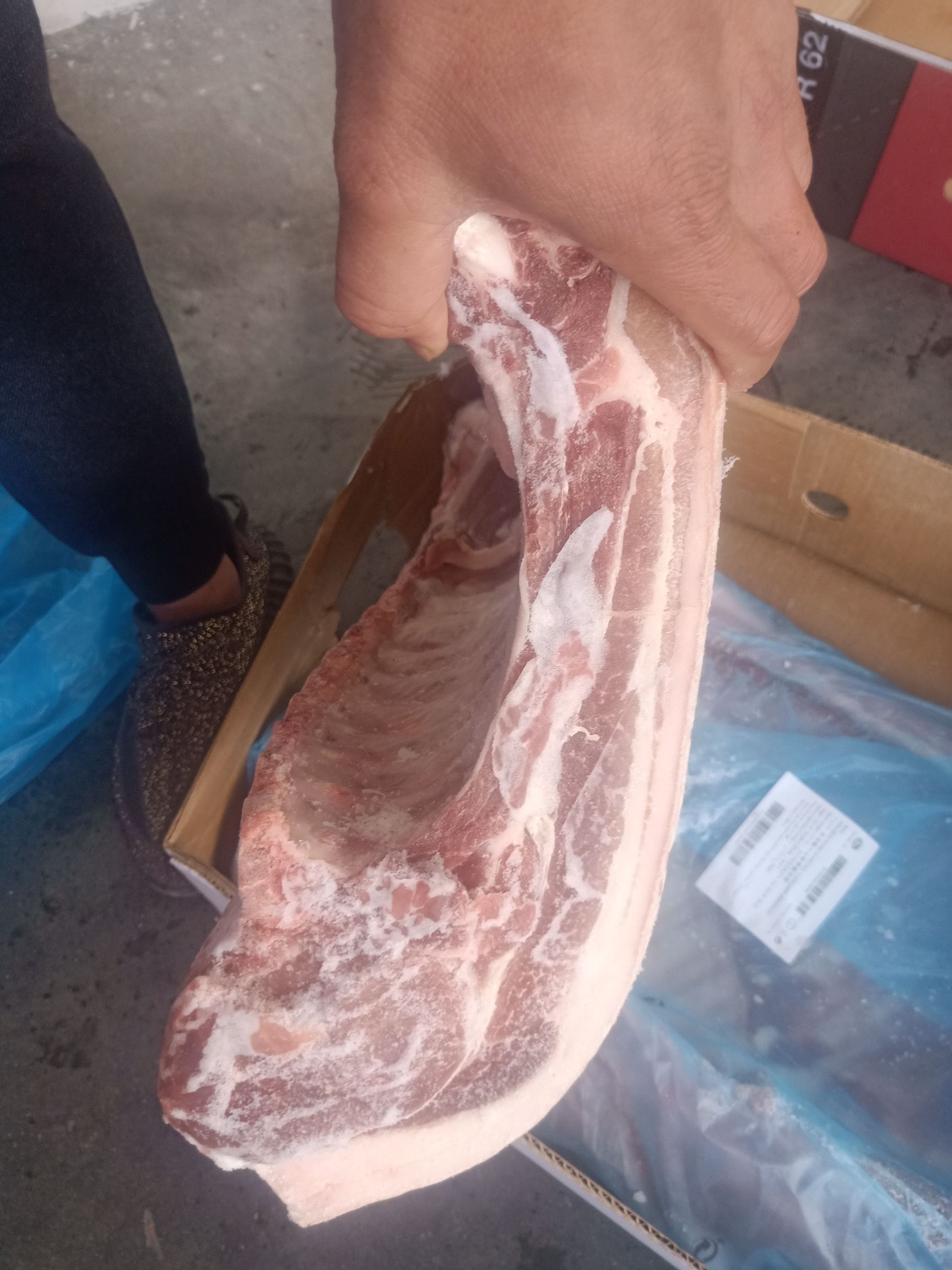 六分体  葡萄牙62厂中段
