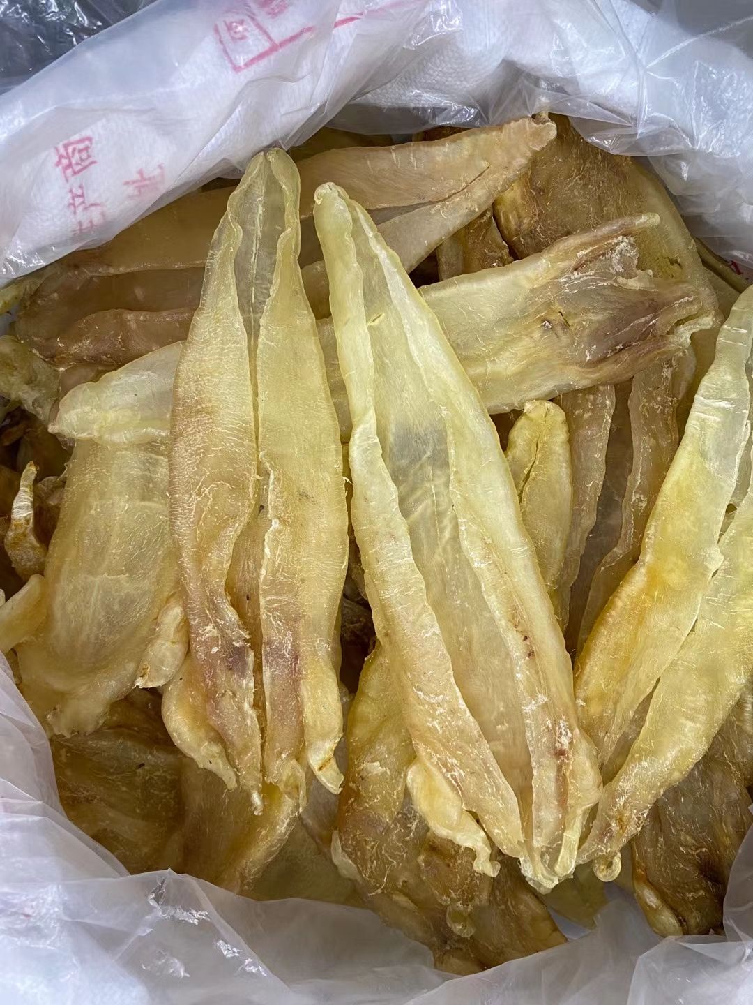 花胶 足干A货巴西北海母 原装货2头