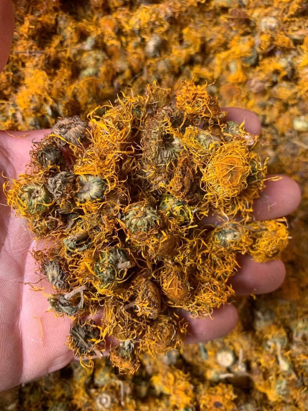 长期供应｛旋覆花｝可批量可零售量大从优【包邮】