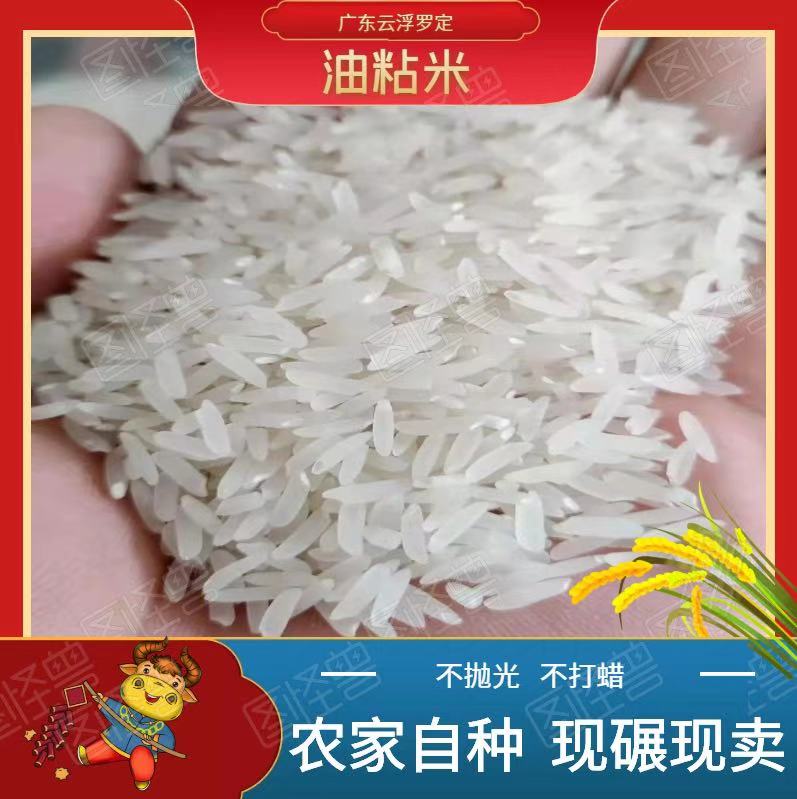 籼米  广东云浮罗定  油粘米  不 抛光不打蜡