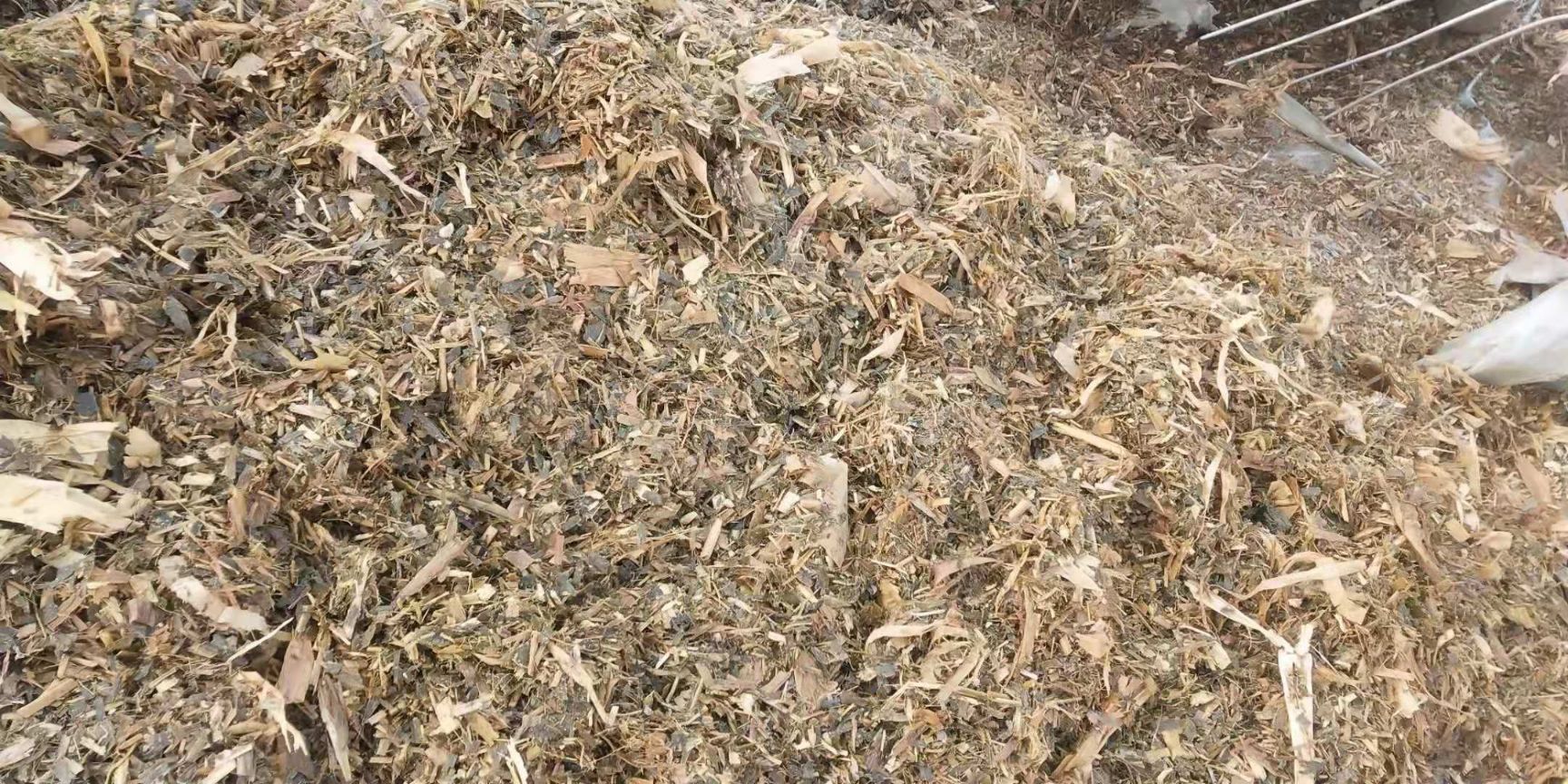 散装玉米秸秆质量有保证！量大从优！
