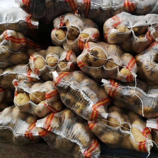 宁安市 牡丹江尤金885土豆，是市场上非常认可的品种，黄皮黄心薯型好