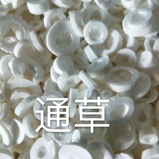 玉林通草    中药材批发大通草片  通心草  白通草 方通