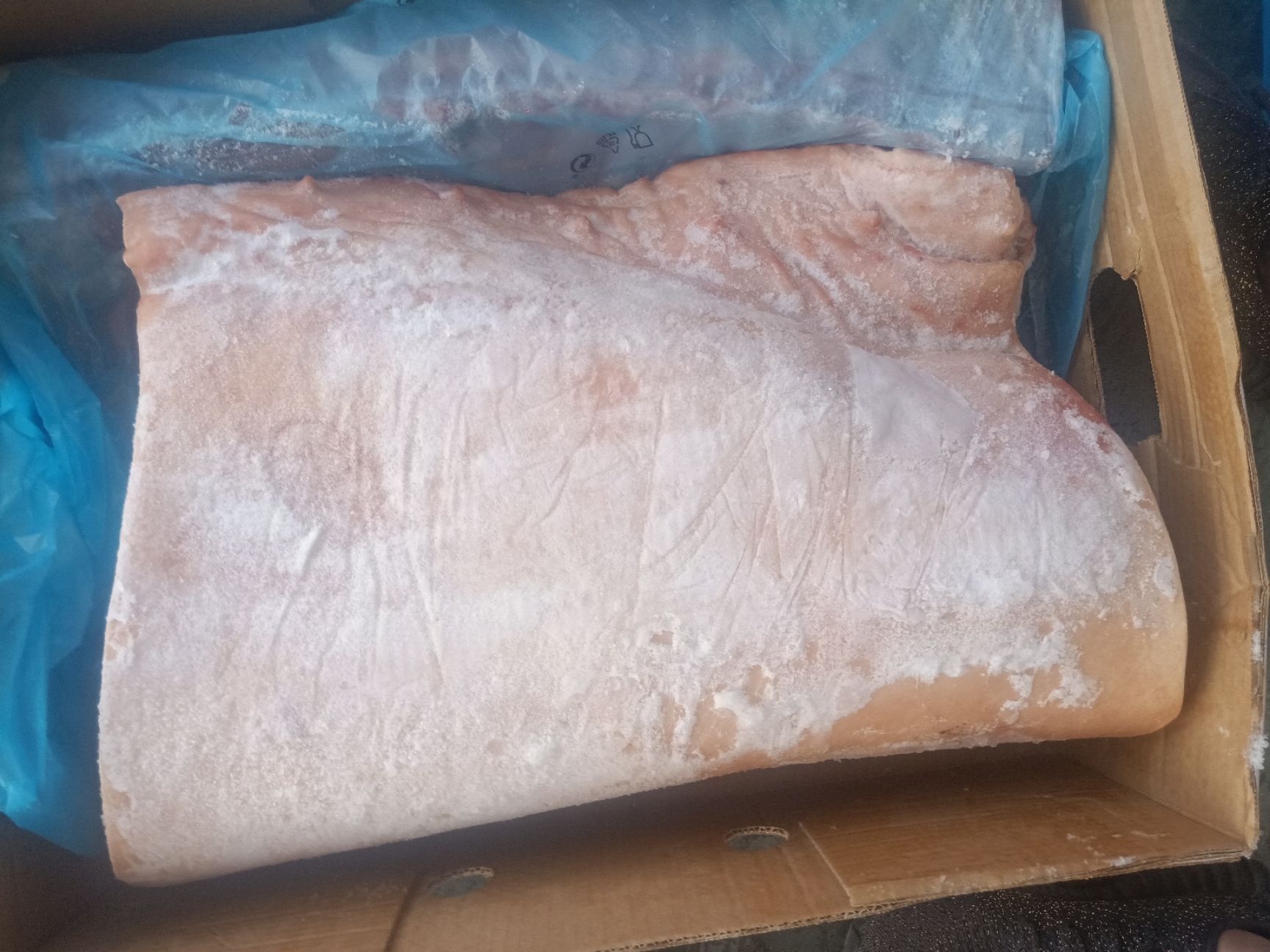 六分体  葡萄牙62厂中段