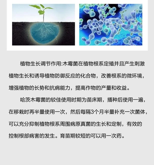 复合微生物菌剂 禾绿源哈茨木霉菌10亿改良土壤微生物菌肥防治死苗烂根枯萎病菌