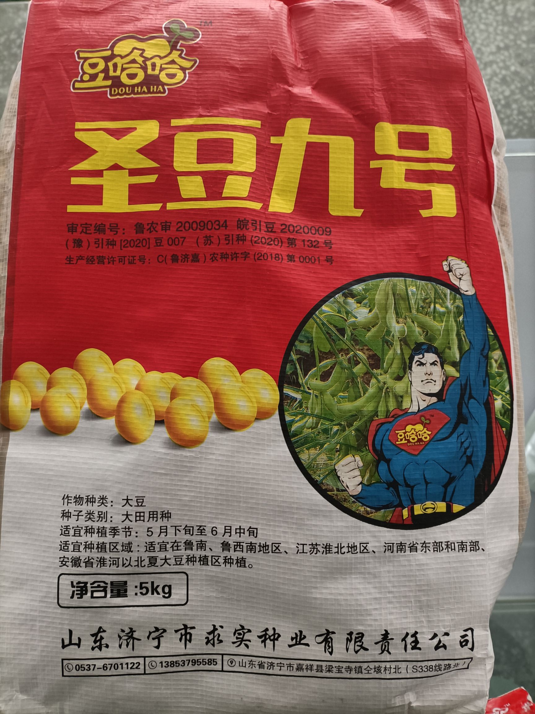 黄豆种子 大田用种 ≥99% ≥95% ≤13.5%