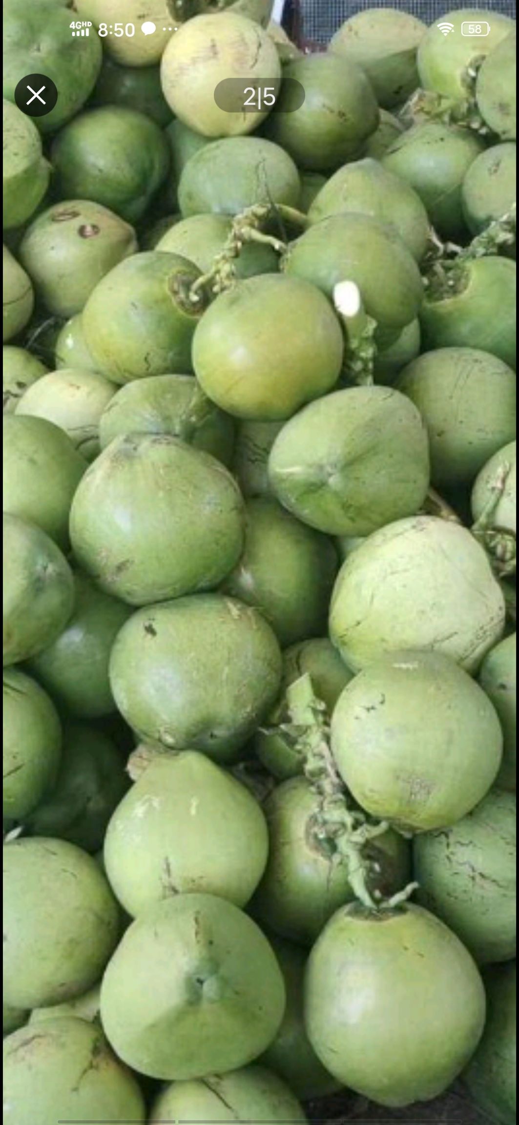 椰子  肉嫩 汁多水甜