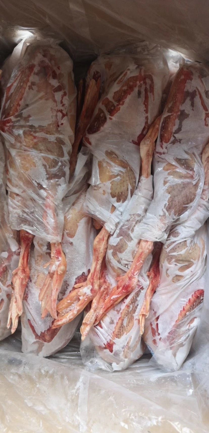 肉鹅 冷冻白条鹅肉