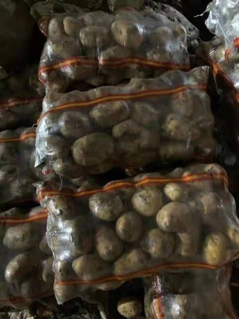  牡丹江尤金885土豆，是市场上非常认可的品种，黄皮黄心薯型好