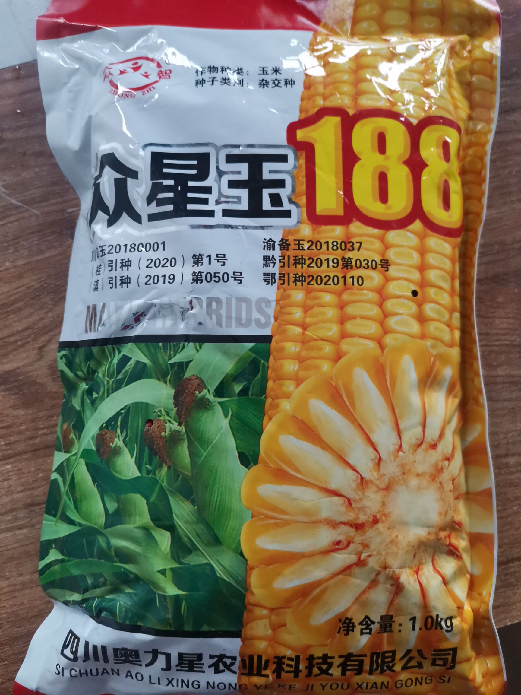 众星玉188饲料玉米  饲料高产玉米种子 大颗粒种籽，耐旱，