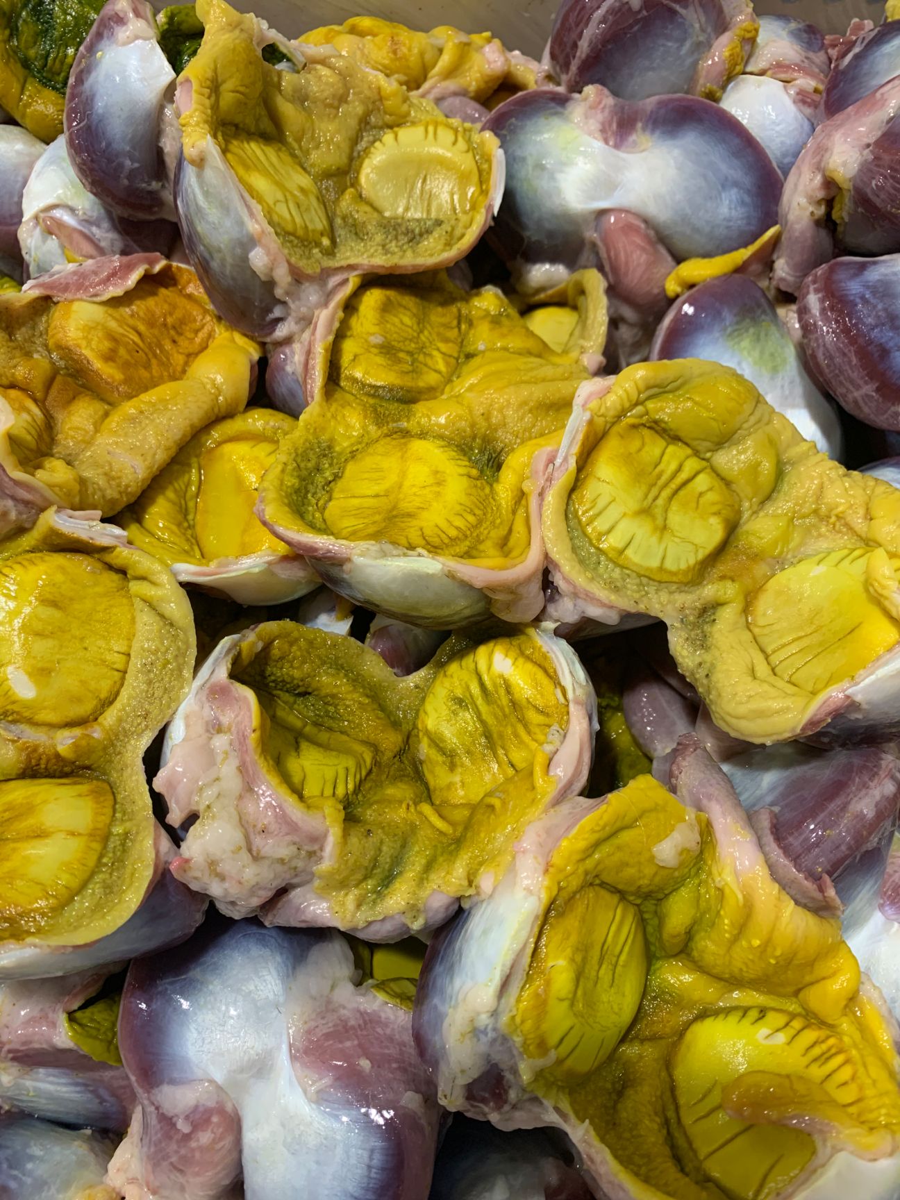 鹅胗  鹅肾14.8-15.8