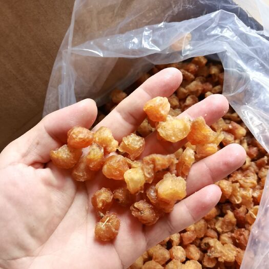 玉林桂圆龙眼肉桂圆干桂圆肉干新果龙眼肉干