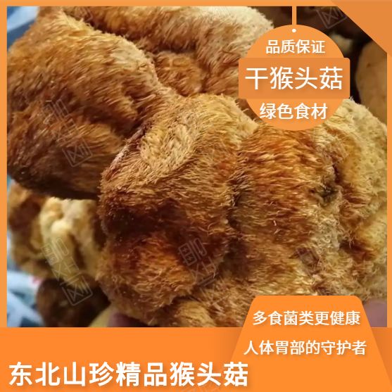 海林市干猴头菇  东北山珍精品猴头菇