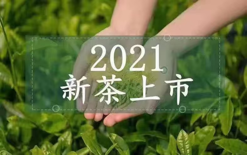淳安县龙井茶 特级龙井