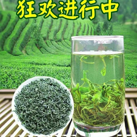 福安市云雾茶 2020高山绿茶500g