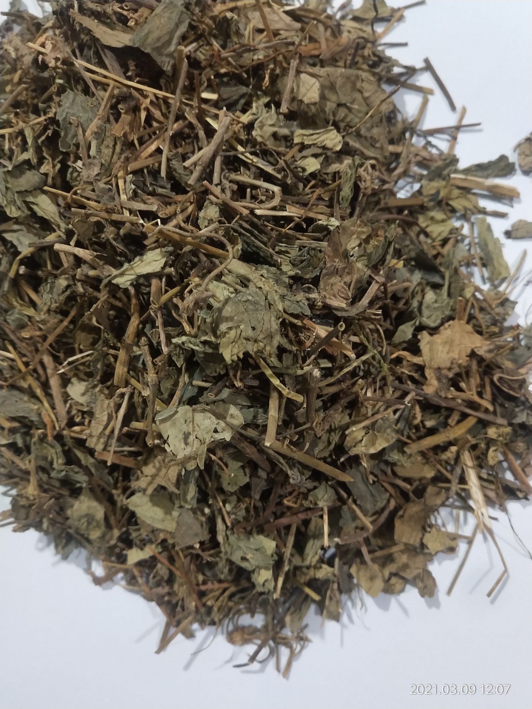冷背中药材肺形草一斤起批包邮到家 价格面议