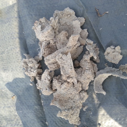 高平市红薯渣水分低灰分低淀粉蛋白满意