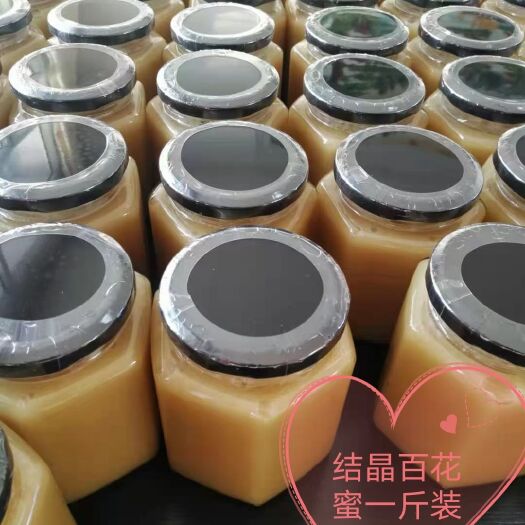 七台河百花蜜  土蜂蜜