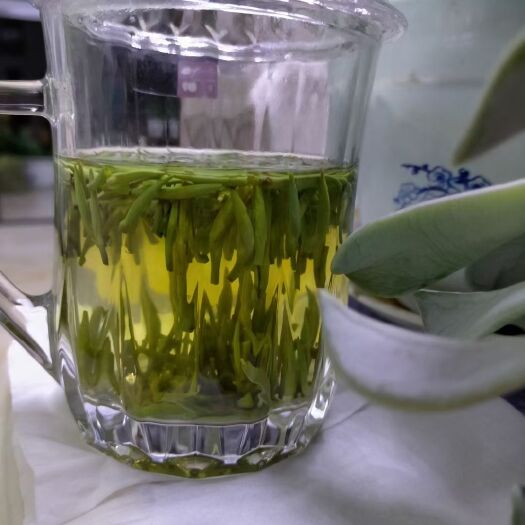 凯里市毛峰茶 茶叶旺季，走过路过不容错过