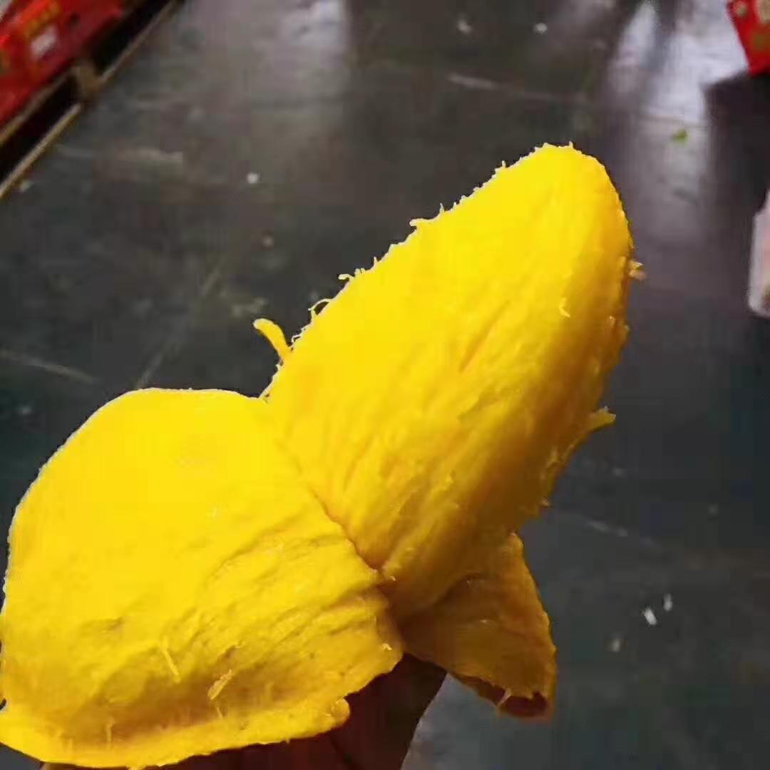 台农芒  台农一件代发3/5/9斤装海南直发