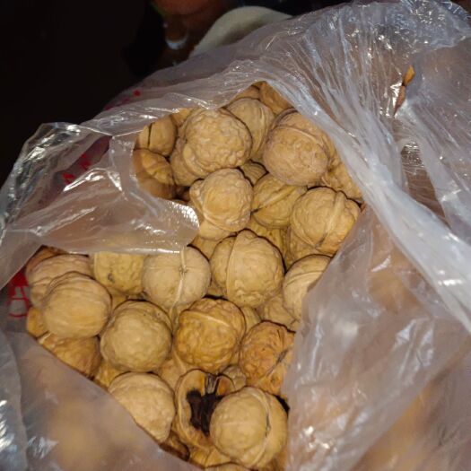 南昌薄皮核桃 去年没卖完的核桃亏本处理了500