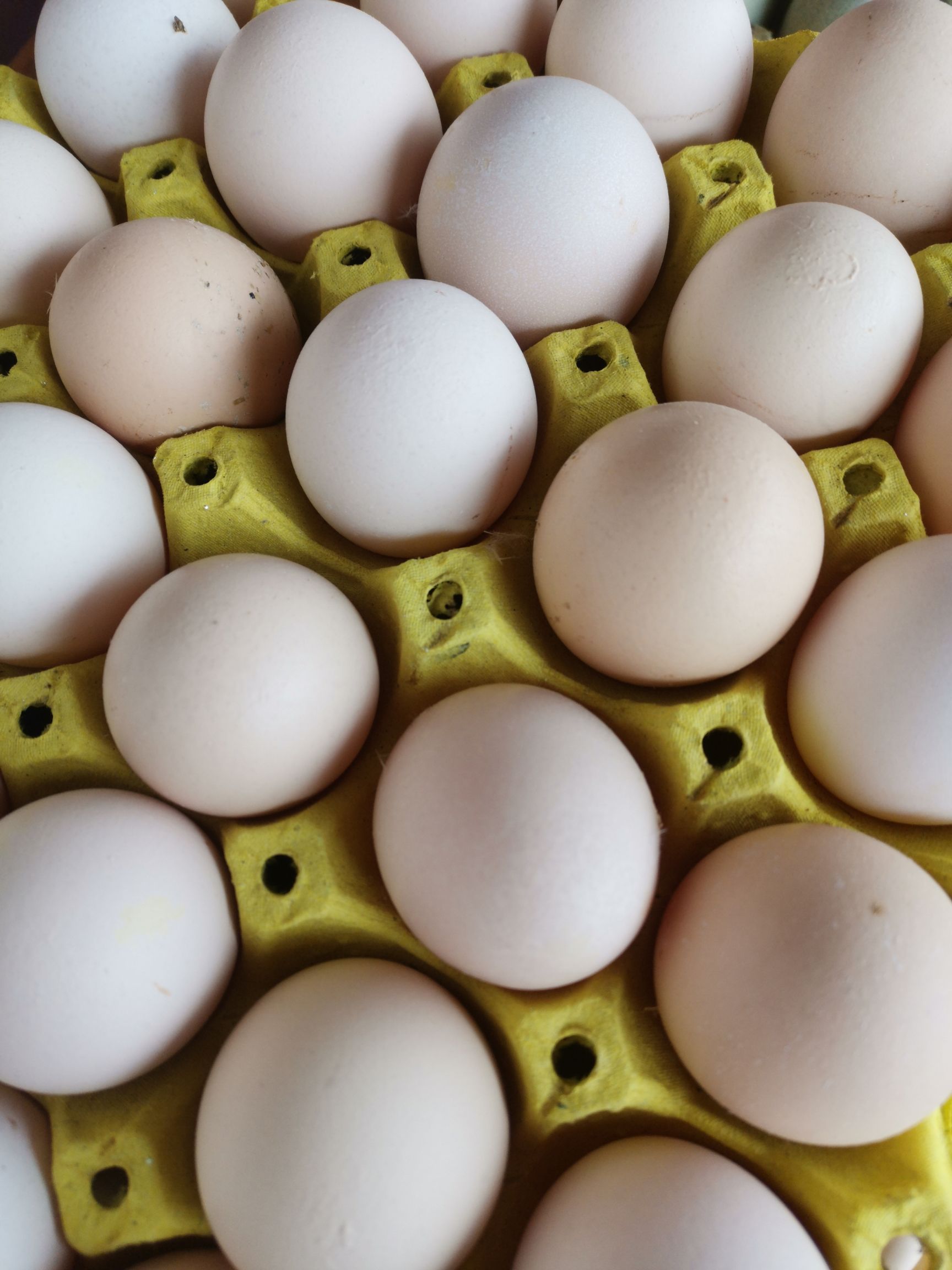 土鸡蛋