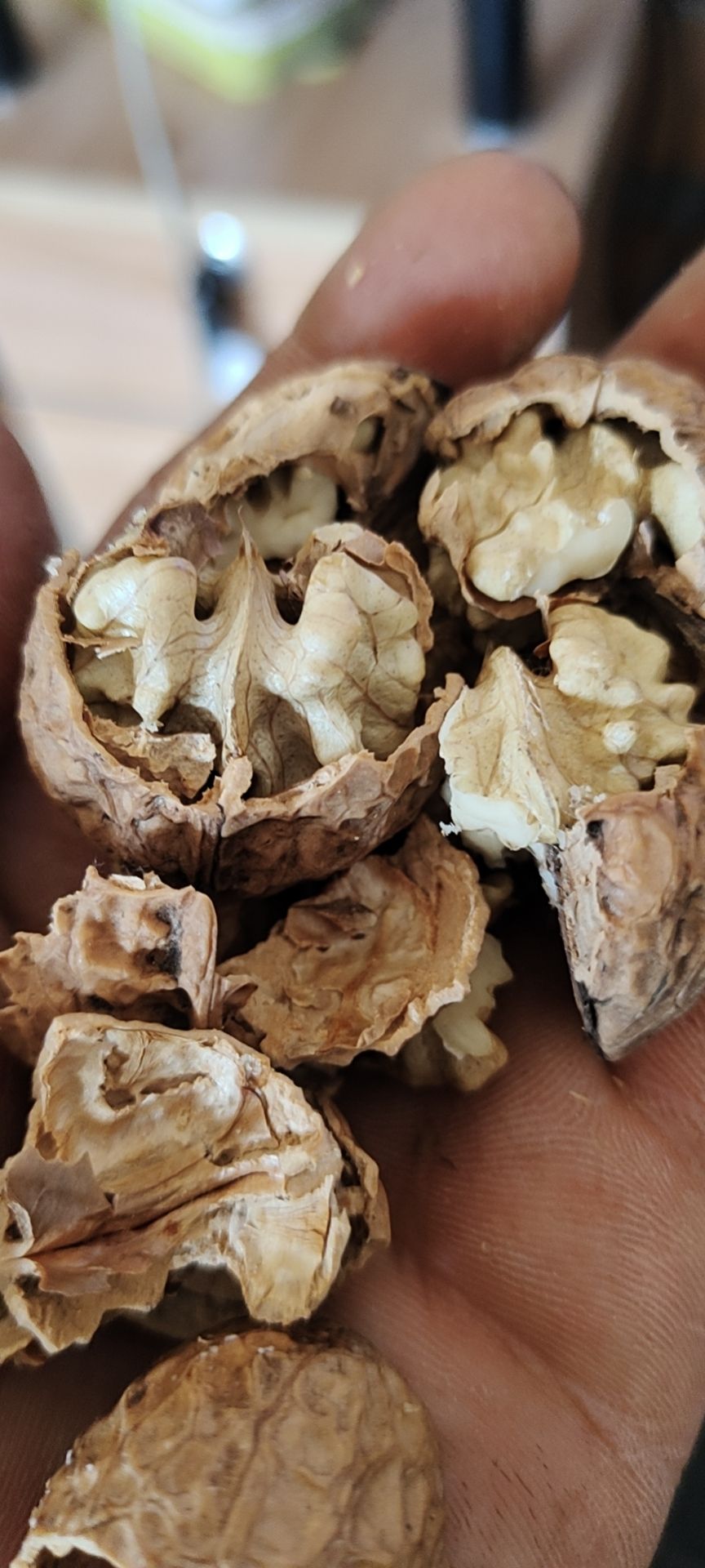 薄皮核桃 核桃，泡核桃
