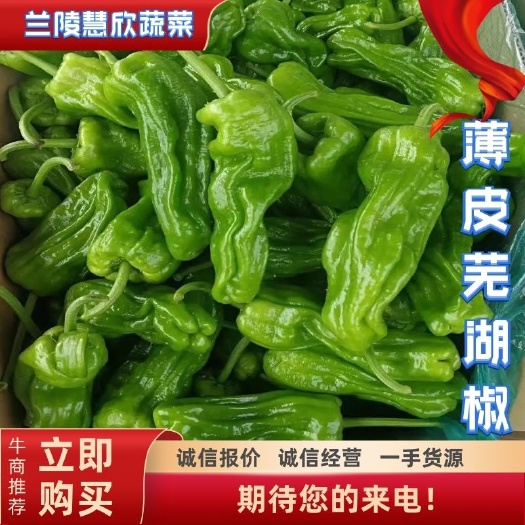 薄皮椒  精品薄皮芜湖椒，大量有货，一手货源，产地直销